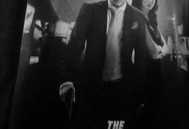 The Professionals (Nur Terbit)