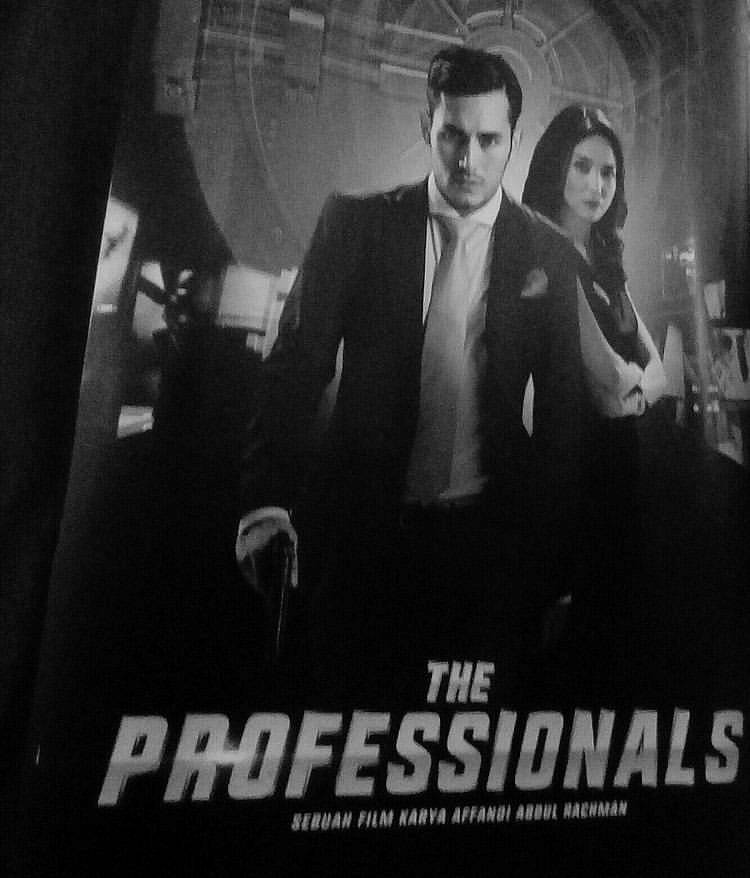 The Professionals (Nur Terbit)